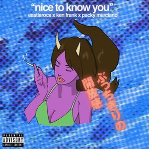 nice to know you (feat. Ken Frank & Packy Marciano)