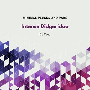 Intense Didgeridoo (Minimal Plucks And Pads)
