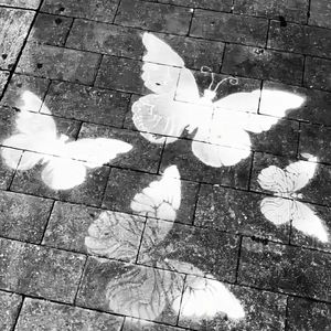 峠の恋人 (Touge Love)