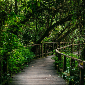 ธรรมชาติงดงาม