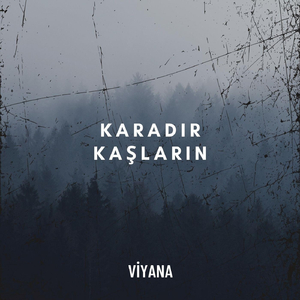 Karadır Kaşların