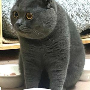 水星记（片段清唱无伴奏）