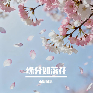 缘分如落花
