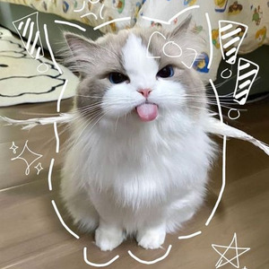 BIRDS OF A FEATHER (slowed)