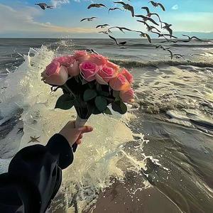 阳光下的星星（空悲切)