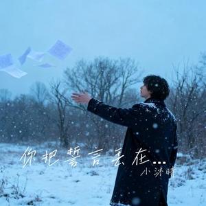 你把誓言丢在冬天 (Cover 木炎)