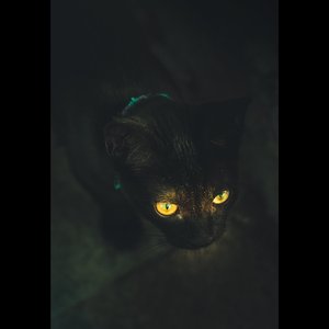 Ice Cream Truck (Horror Trap Remix)