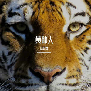 【古筝】 黄种人 （陆吟霜 Remix）