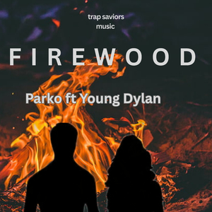 Firewood