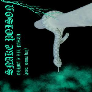 Snake Poison (feat. Lil Parta)