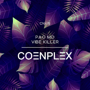 Vibe Killer (Radio Edit)