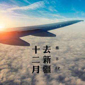 蔡丰-十二月去新疆