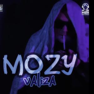 VALIZA