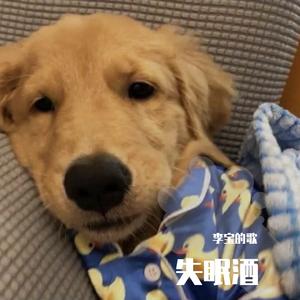 失眠酒（翻自 程安）