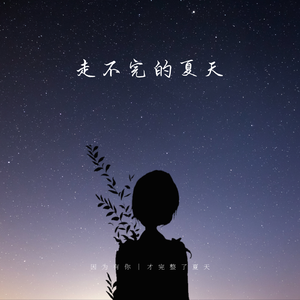 走不完的夏天