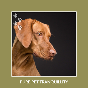 Golden Doggy Embrace