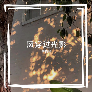 风穿过光影