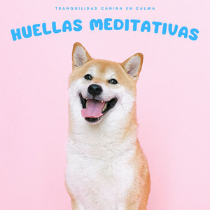 Armonía Con Tu Sabueso