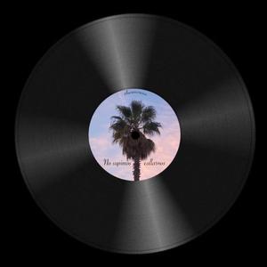 No supimos callarnos