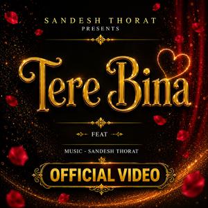 Tere Bina