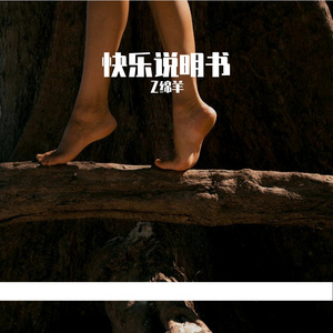 快乐说明书