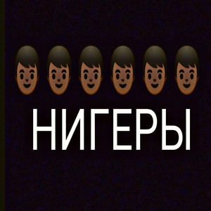 Нигеры