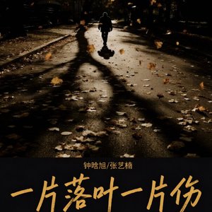 一片落叶一片伤