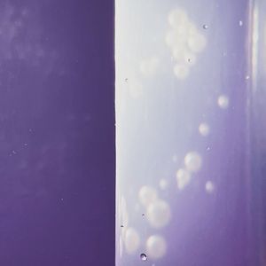 癔(live)