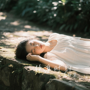 静息时刻