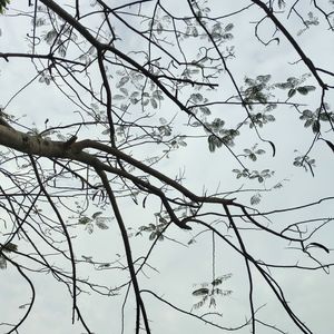 至少早点睡吧demo