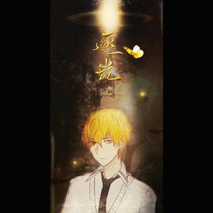 全职高手·逐光（黄少天2016生贺同人歌）（翻自 Lady Antebellum）