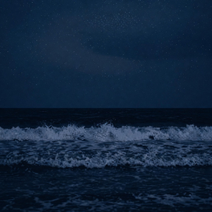 Immensity