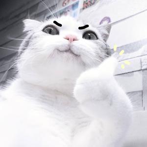 想要你知道（铃声）