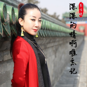 深深的情啊难忘记