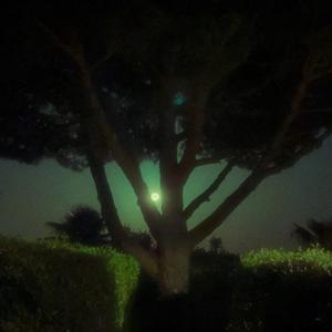 Sans fin (Version BandLab )