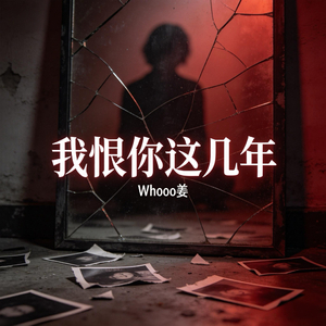 我恨你这几年