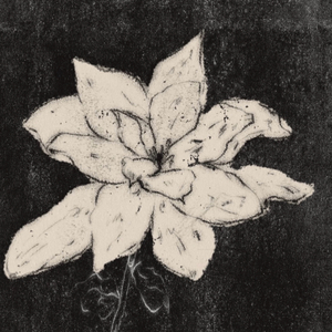 栀子花