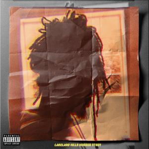 Lakeland Hills Horror Story