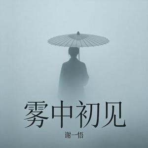雾中初见