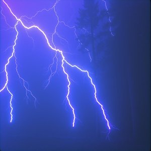 Falsedades Angustiosas Amor