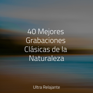 Músculos Relajados