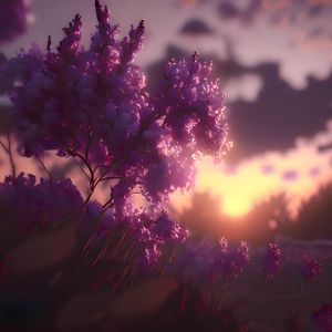 Сиреневый закат