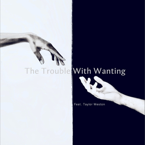 The Trouble With Wanting