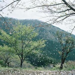 山野间花又落 (Cover 万海东)