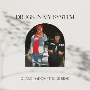 Drugs In My System (feat. Z4ne Brae)