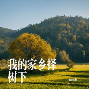 我的家乡择树下