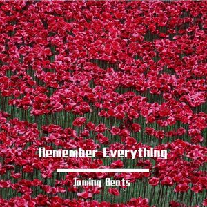 【Free】Remember Everything