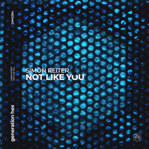 Not Like You (Extended Mix)