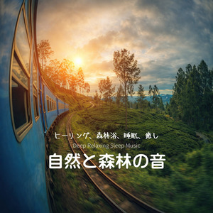 森の休息 - 呼吸を深める森ヨガリトリート