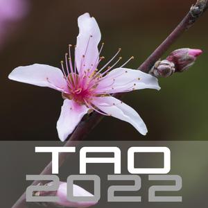 我家的阳光房20220422